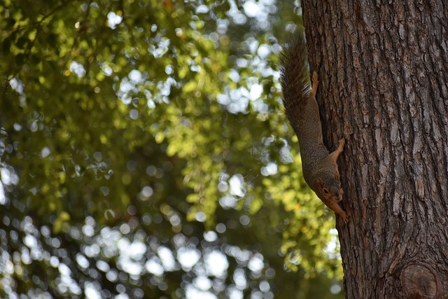 更是树立榜 更是树立榜