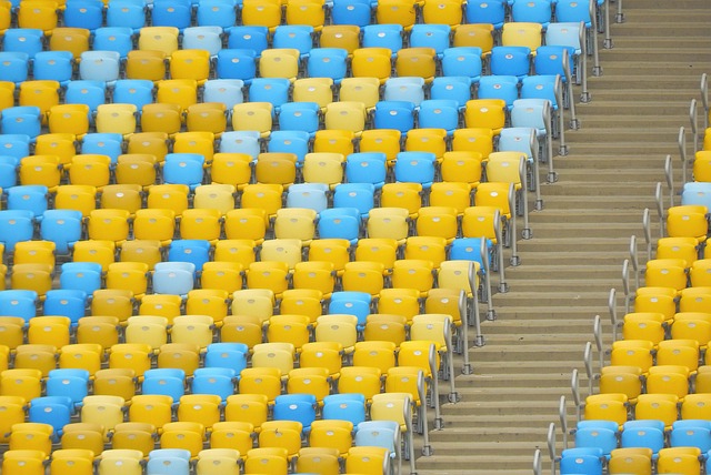 里尼奧對其 里尼奧對其