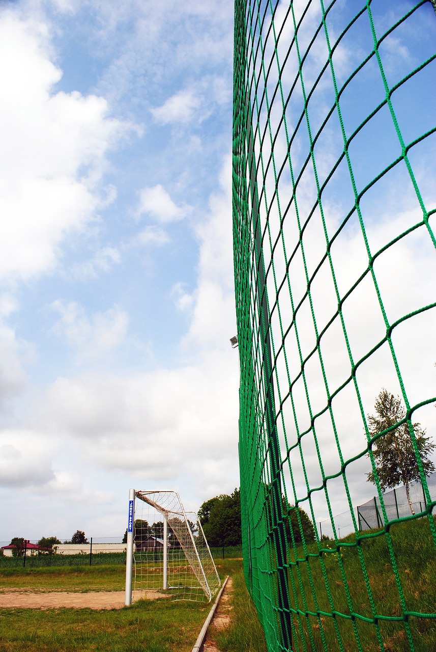 体的兴起 体的兴起