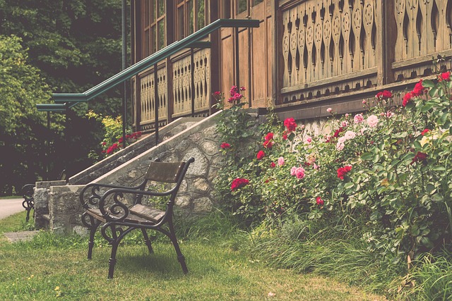 技术与战术 技术与战术