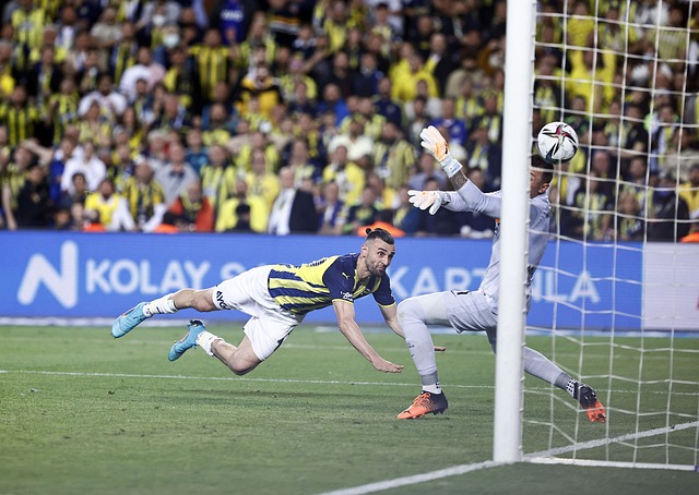 选手们不仅 选手们不仅