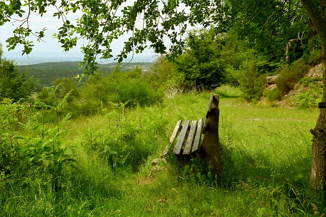 中承办更多 中承办更多